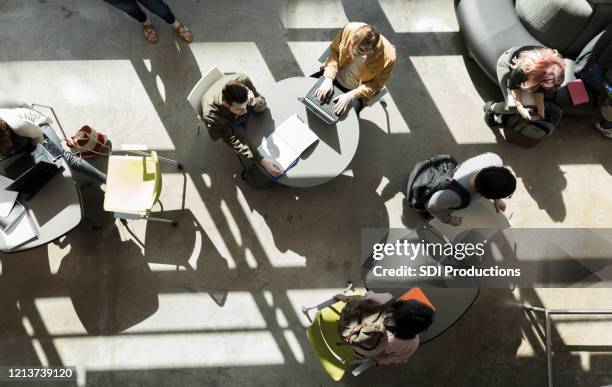 diverse college students work in busy classroom building lobby - community college stock pictures, royalty-free photos & images