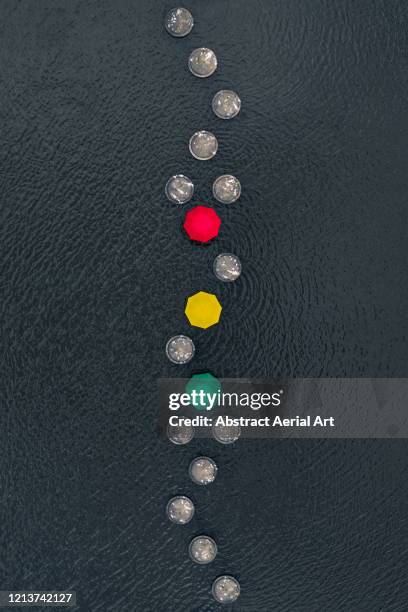 three people holding umbrellas in the shape of a traffic light whilst standing on stepping stones in a lake, netherlands - stepping stones stockfoto's en -beelden