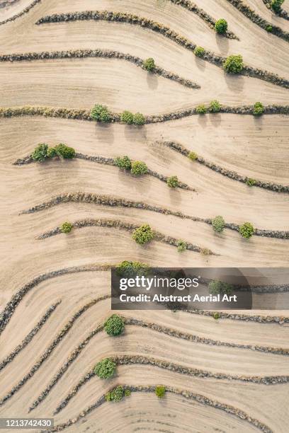 aerial image above trees in a spanish field, spain - wonderlust fotografías e imágenes de stock