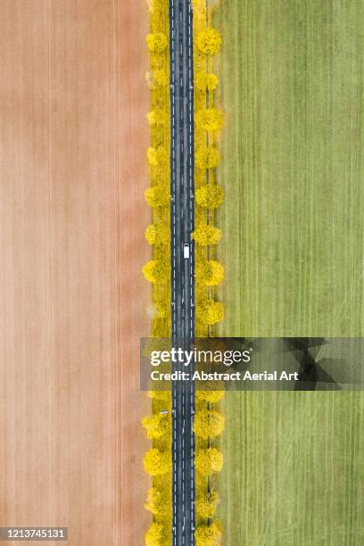 rural autumn scene photographed from above, france - carretera paisaje vista aerea fotografías e imágenes de stock