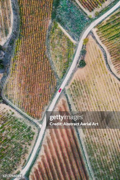 red car on a country road surrounded by spanish vineyards, spain - car aerial view stock pictures, royalty-free photos & images