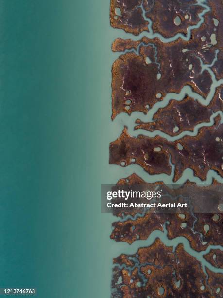 aerial image above marshlands at the edge of a river, cadiz, spain - estuaire photos et images de collection