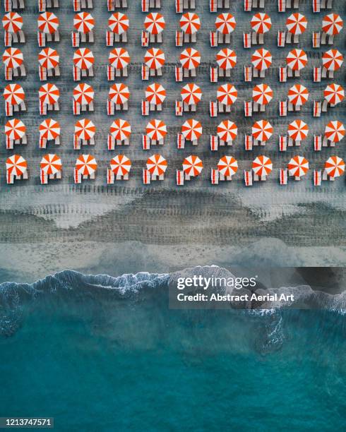 aerial shot showing rows of beach umbrellas at the edge of the ocean, tuscany, italy - consistent waves stock-fotos und bilder