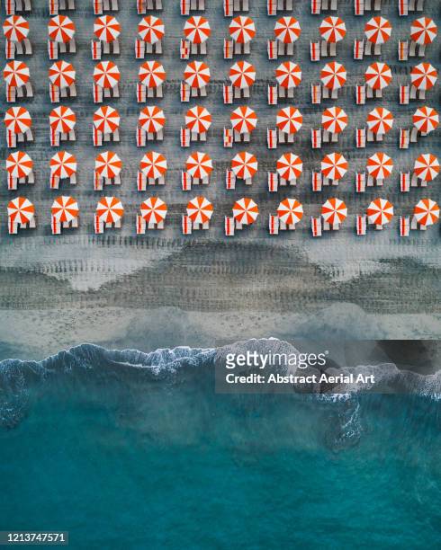 aerial shot showing rows of beach umbrellas at the edge of the ocean, tuscany, italy - massa fotografías e imágenes de stock