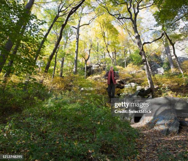 Person Outside Spring Person Walking Outside In Spring Photos and Premium High Res Pictures ...