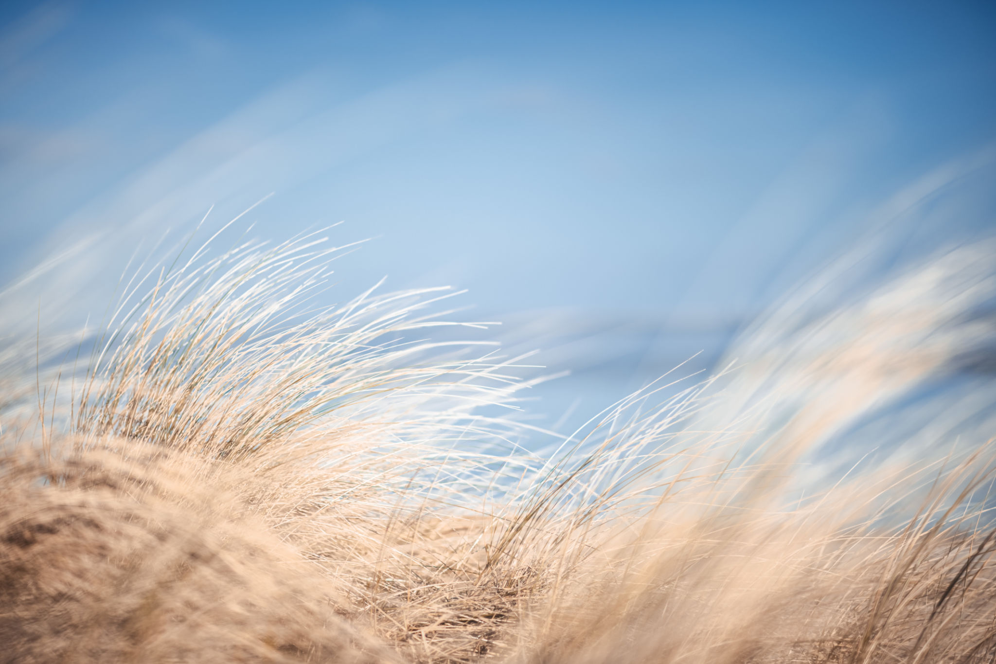 coastal winter