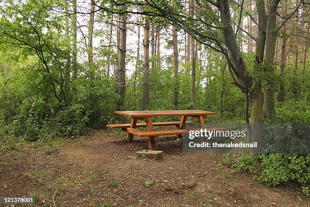 forest picnic - gumpoldskirchen stock pictures, royalty-free photos & images