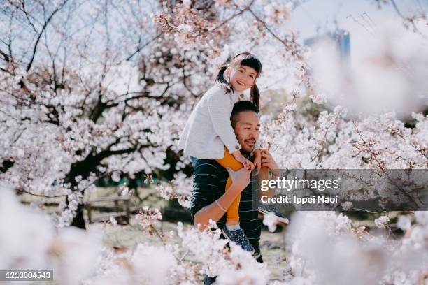 father carrying little girl on shoulders with cherry blossoms, tokyo, japan - cherry blossom in full bloom in tokyo fotografías e imágenes de stock