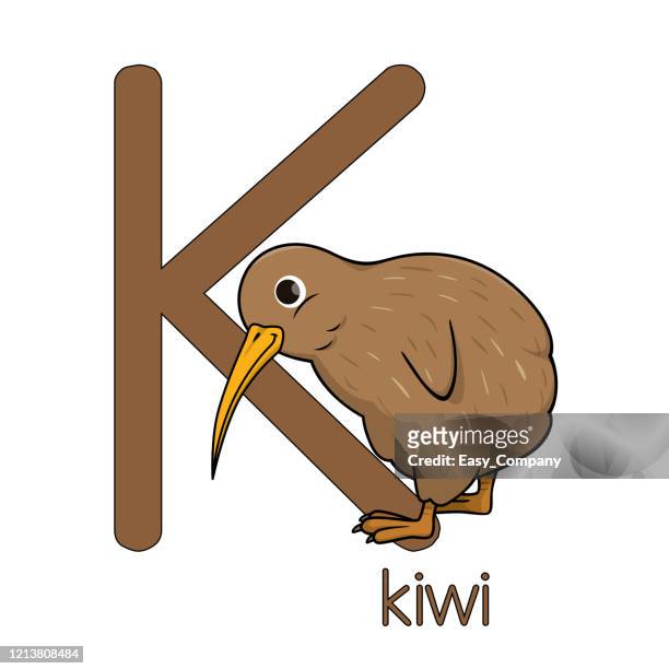 128 Ilustraciones de Pájaro Kiwi - Getty Images