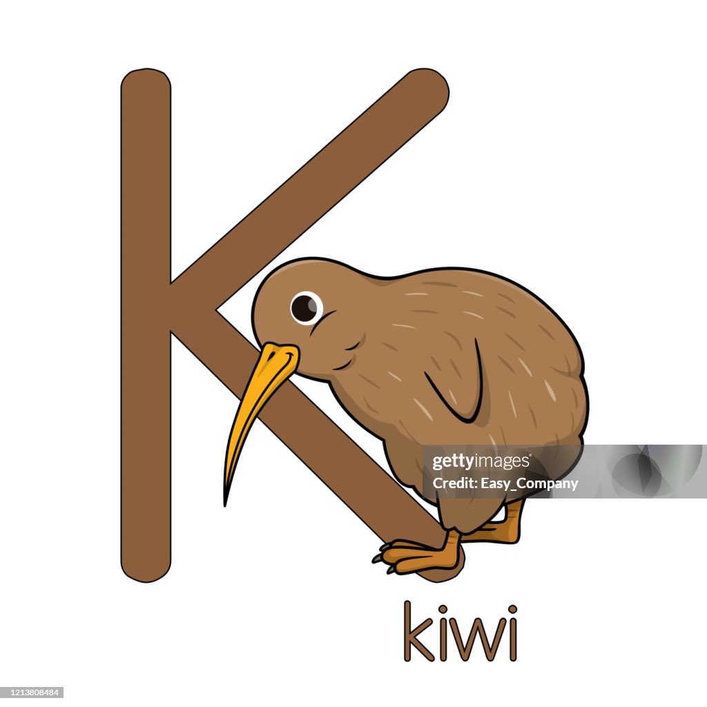 Vector Illustration Of A Kiwi Bird Standing Isolated On White Background  With The Capital Letter K For Use As Teaching Materials Let Children Get To  Know The English Alphabet High-Res Vector Graphic -
