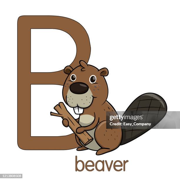 Abc Beaver 55 Beaver Face High Res Illustrations - Getty Images
