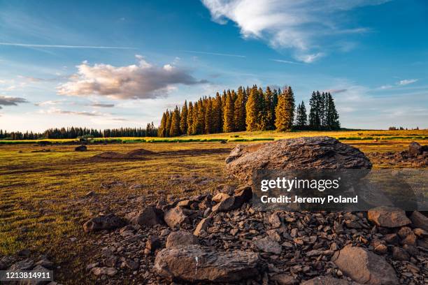 tiro de puesta de sol de gran angular de muddy giant boulder en medio de un lago seco con pinos en el fondo dentro del bosque nacional de grand mesa en el hermoso oeste de colorado - state park fotografías e imágenes de stock