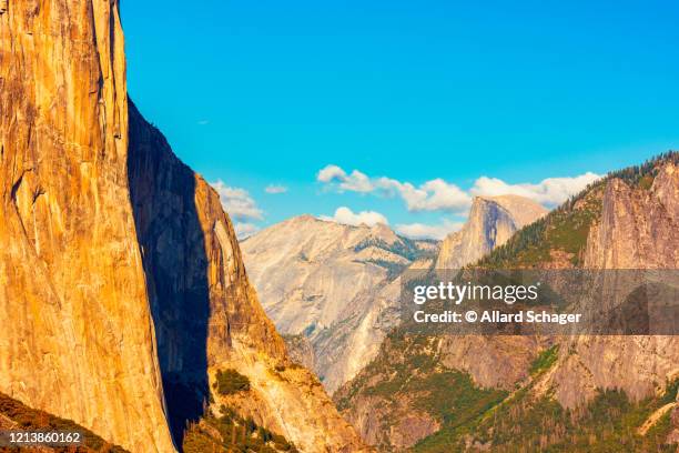 tunnel view with el capitan and half dome in yosemite national park around sunset - californië 個照片及圖片檔