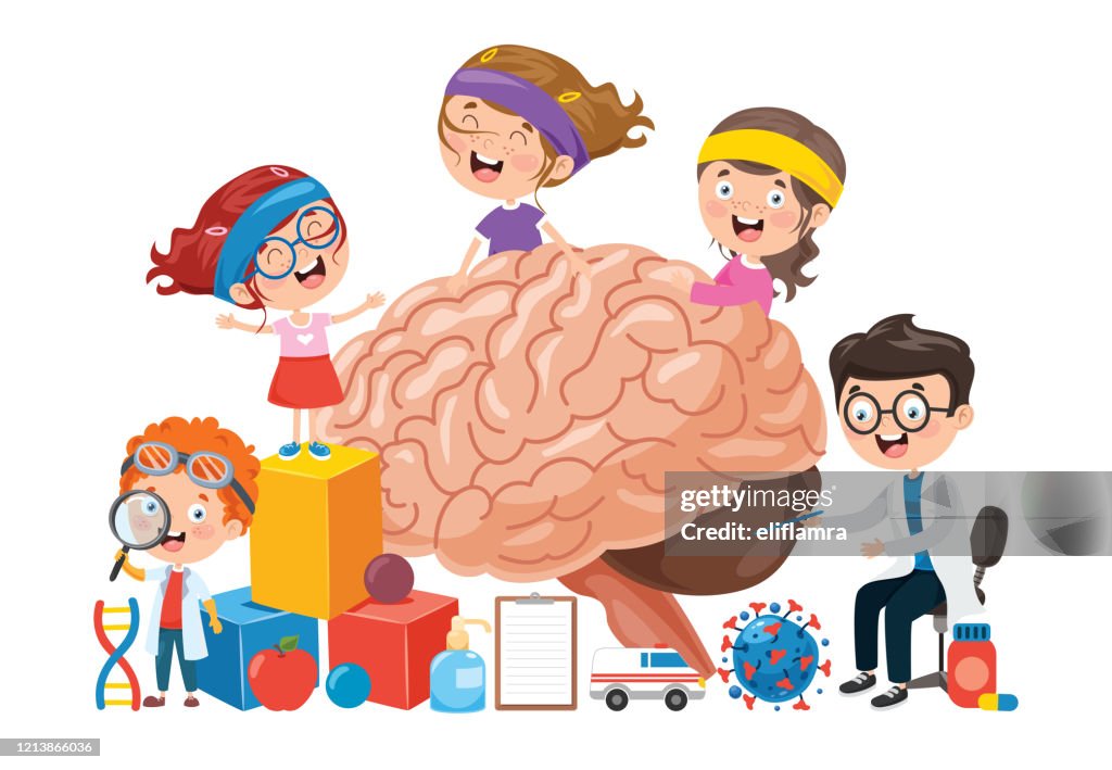 Visual Cortex Cartoon Images Cartoon Concept Of Human Brain High-Res Vector Graphic - Getty Images