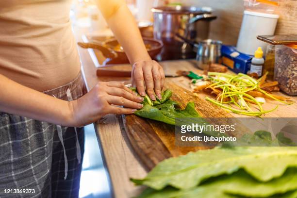 unrecognisable woman making lunch in the kitchen - cabbage roll stock pictures, royalty-free photos & images