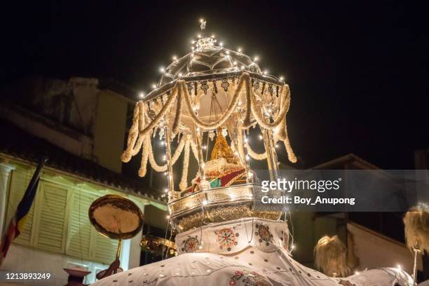 the sacred casket on ceremonial tusker in kandy esala perahera parade in kandy city, sri lanka. - reliquary stock pictures, royalty-free photos & images