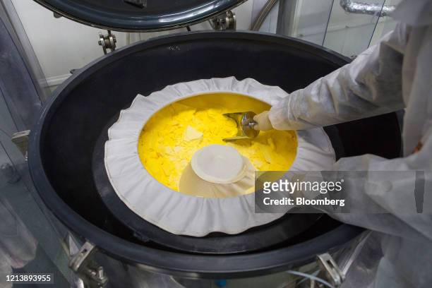 Worker scoops a ladle of yellow powder during the manufacture of the Favipiravir antiviral medicine, a joint venture between the Russian Direct...