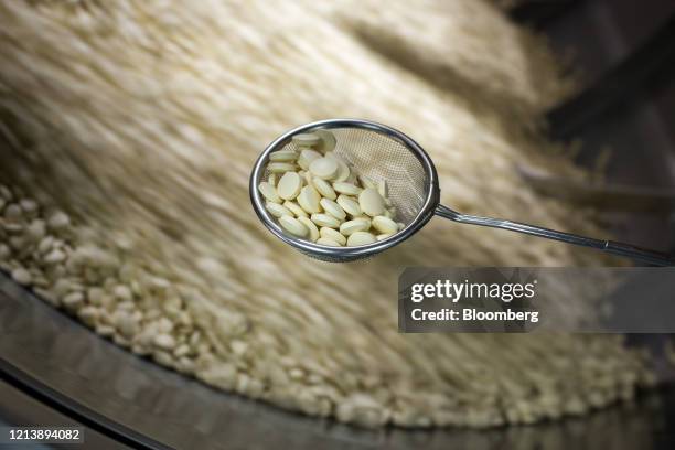 Worker takes a sample of tablets for testing from the drum of a tablet coating machine during the manufacture of the Favipiravir antiviral medicine,...