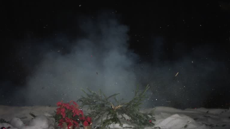 Exploding Xmas Tree Gif 3,171 Exploding Tree Stock Videos, Footage, & 4K Video Clips - Getty Images