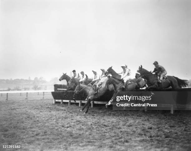 Jockey Pat Taaffe on Arkle takes the first fence of the Hennessy Gold Cup at Newbury Racecourse, Berkshire, 5th December 1964. Arkle won by ten...