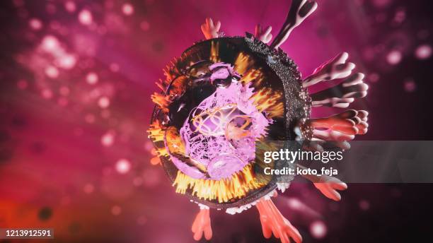 abs covid-19 struktur - antikörper stock-fotos und bilder