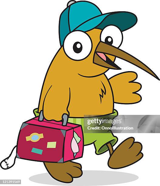 travelling kiwi bird - kiwi bird stock illustrations