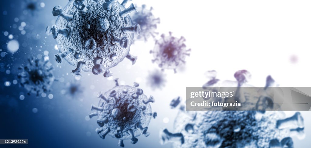 Microscopic View of 3D Spherical Viruses