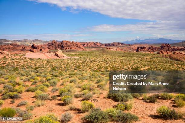 distant mountains and valley of fire - valley of fire state park stock pictures, royalty-free photos & images