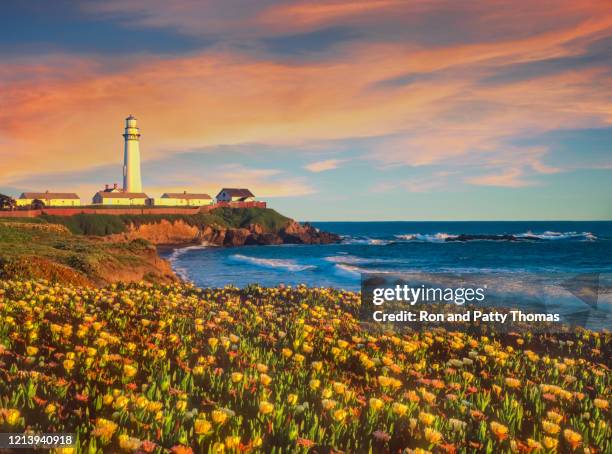 pigeon point lighthouse at pescadero, ca - san mateo california stock pictures, royalty-free photos & images