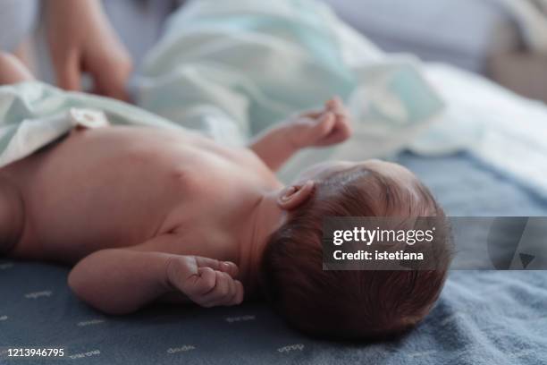 newborn baby's belly button with umbilical cord - umbilical cord stock pictures, royalty-free photos & images