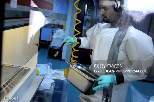 Des chercheurs manipulent des virus dans le laboratoire P4 Jean Mérieux le 27 février 2008 à Lyon. La dénomination P4 fait référence à des...