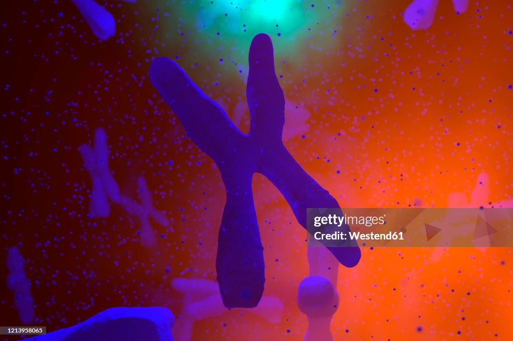 3D Rendered Illustration, scientific visualisation of a Chromosome