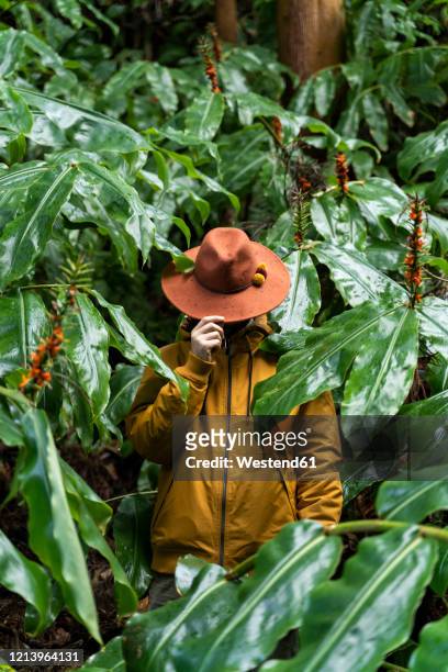 man standing in forest surrounded by huge leaves, sao miguel island, azores, portugal - azores people stock pictures, royalty-free photos & images