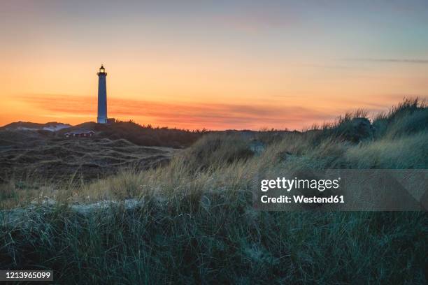 denmark,hvidesande, grassy coast at dusk with lighthouse in background - hvide sande denmark stock pictures, royalty-free photos & images