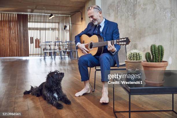 senior businessman sitting in the office, playing the guitar for his dog - eccentric ストックフォトと画像