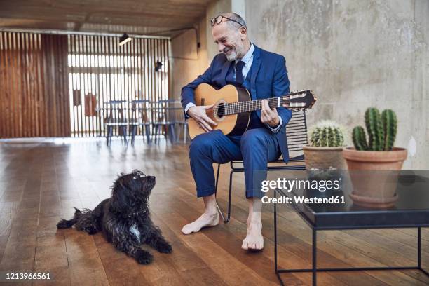 senior businessman sitting in the office, playing the guitar for his dog - men doing quirky things stock pictures, royalty-free photos & images