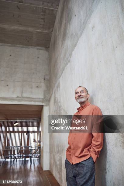 creative businessman leaning against wall in his minimalistic office - un solo hombre mayor fotografías e imágenes de stock