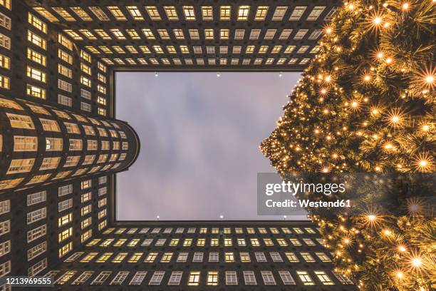 germany, hamburg, directly below view of glowing christmas tree and exterior of sprinkenhof building - directly below tree photos et images de collection