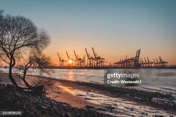 germany, hamburg, elbe beach at sunrise with silhouettes of harbor cranes in background - elbe stockfoto's en -beelden