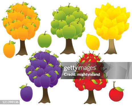 Fruit Trees Fruit Trees