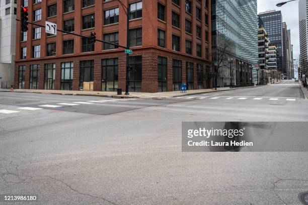 deserted chicago - städtische straße stock-fotos und bilder