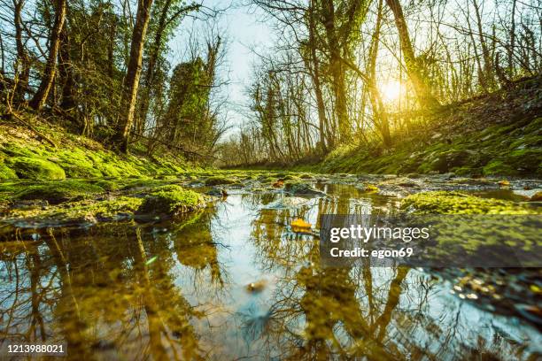 stream over mossy rocks - bodmin moor imagens e fotografias de stock