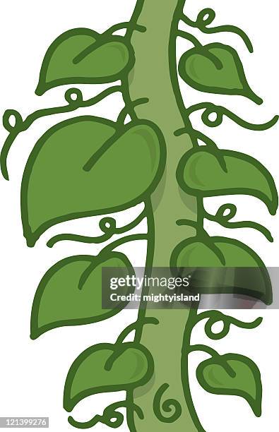 vine - beanstalk stock illustrations