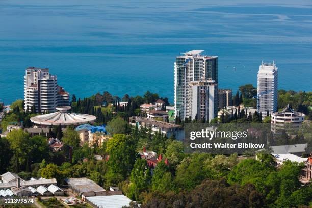 city view from the arboretum park - sotschi stock-fotos und bilder