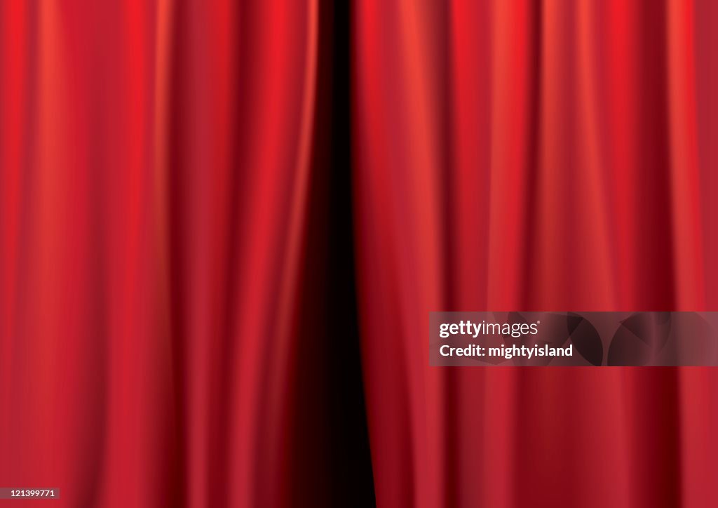 Cortinas oscurecedoras (black out)