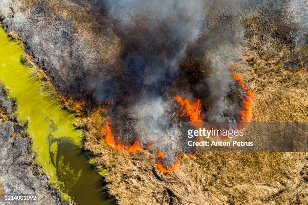 aerial view of wildfire on the field. huge clouds of smoke - wildfire firefighter stock pictures, royalty-free photos & images