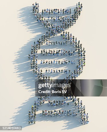 Crowd forming DNA model Crowd forming DNA model