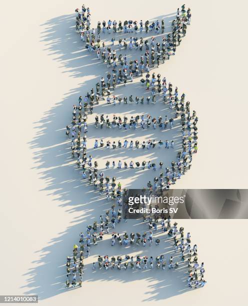 crowd forming dna model - crowd of people from above stock pictures, royalty-free photos & images