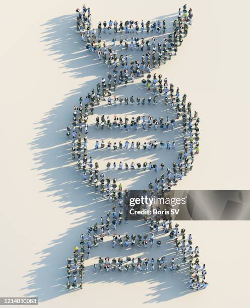 crowd forming dna model - digital dna bildbanksfoton och bilder