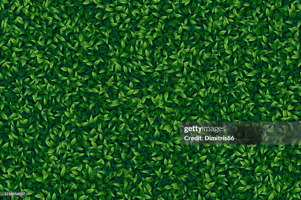 Gröna blad realistiska sömlös bakgrund